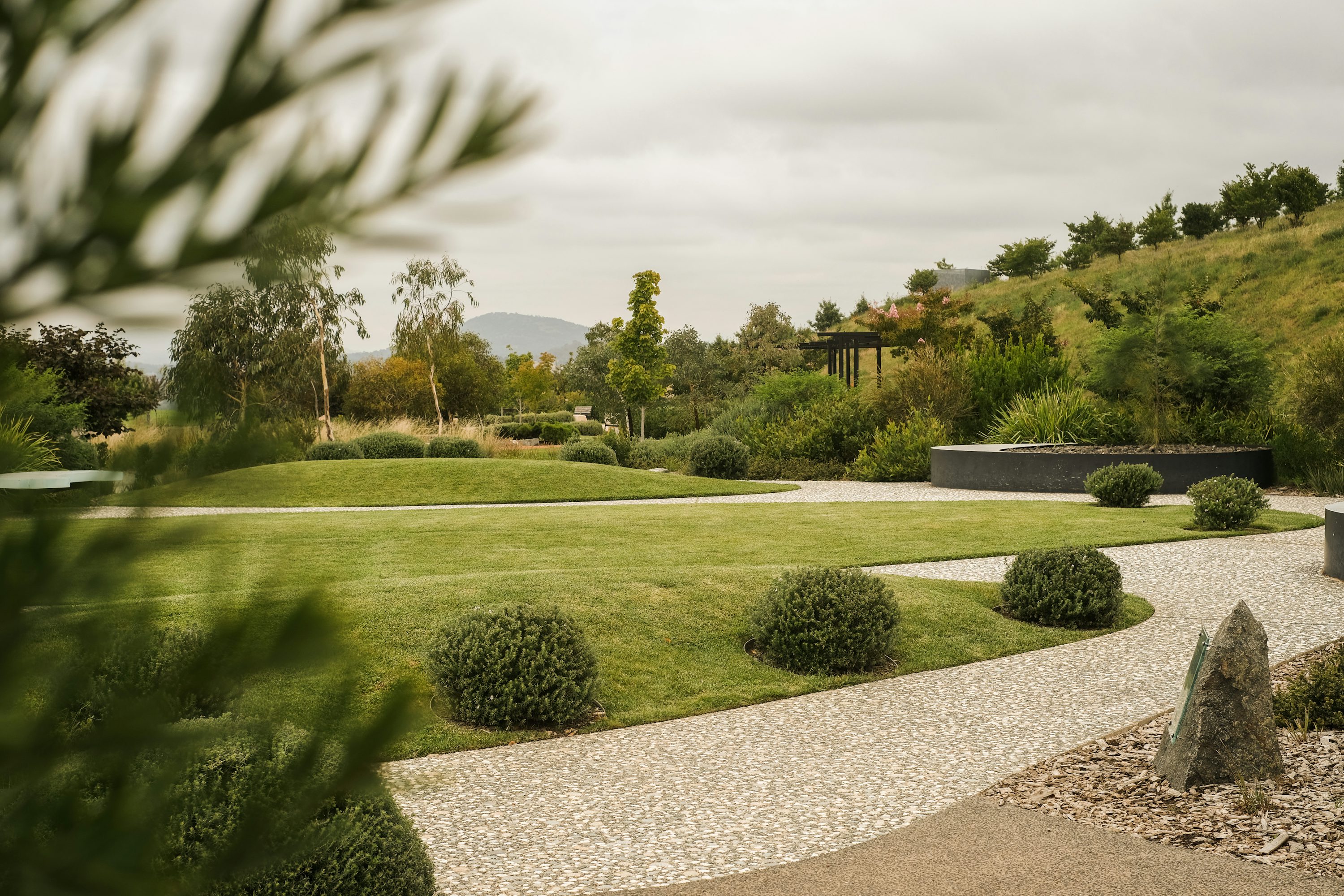 Layered naturalistic planting framing a quiet path through a mature garden