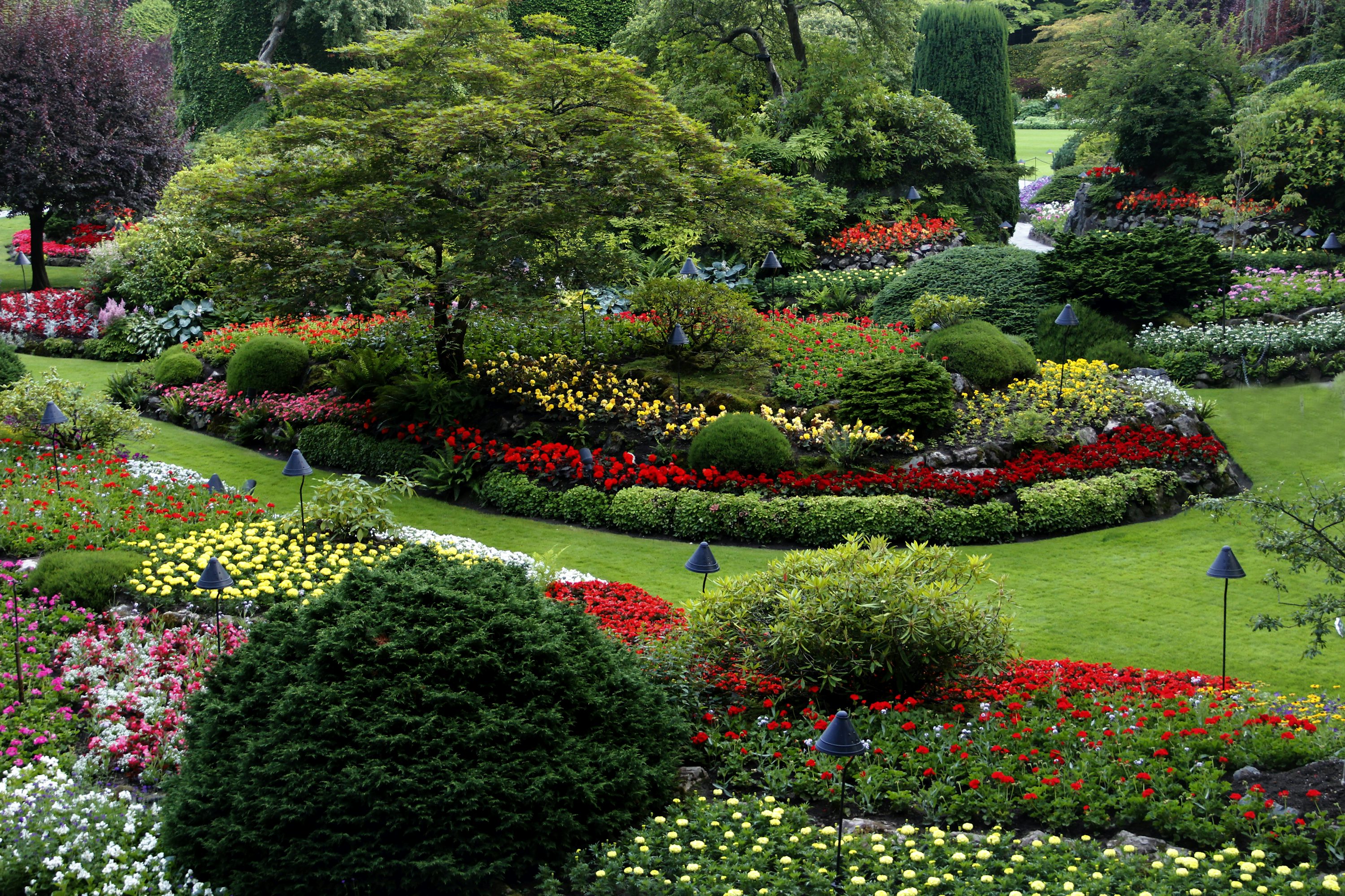 Layered planting creates enclosure, discovery, and a long seasonal life.
