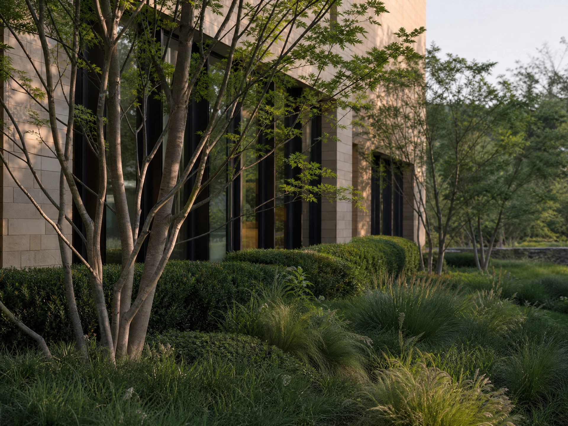 Planting and spatial structure for the Architecture, extended representative concept