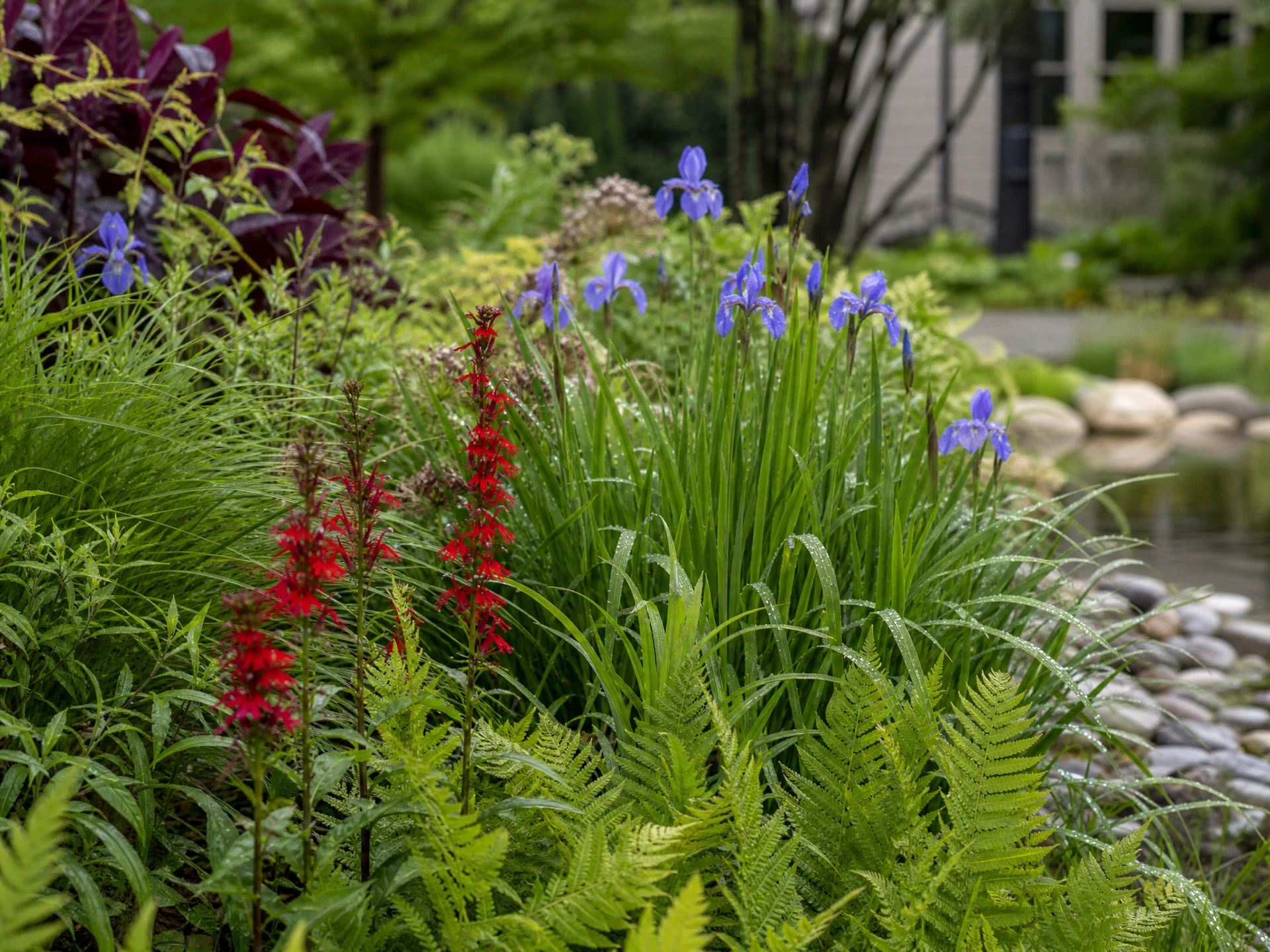 Planting and spatial structure for the Water held beautifully representative concept